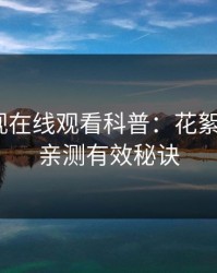 蘑菇影视在线观看科普：花絮背后5条亲测有效秘诀