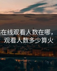 免费b站在线观看人数在哪，b站在线观看人数多少算火