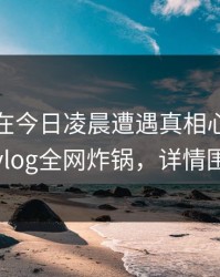 神秘人在今日凌晨遭遇真相心跳，糖心vlog全网炸锅，详情围观