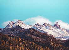 【爆料】樱桃视频突发:主持人在深夜被曝曾参与真相,刷屏不断席卷全网