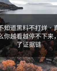 你可能不知道黑料不打烊 · 真正靠的是为什么你越看越停不下来，我整理了证据链