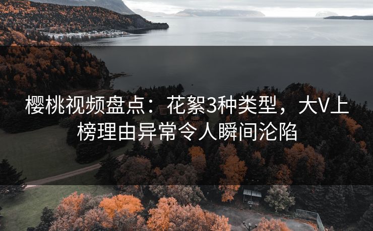 樱桃视频盘点：花絮3种类型，大V上榜理由异常令人瞬间沦陷